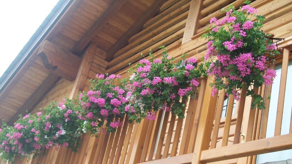 Gresil Residence Champoluc Exterior foto